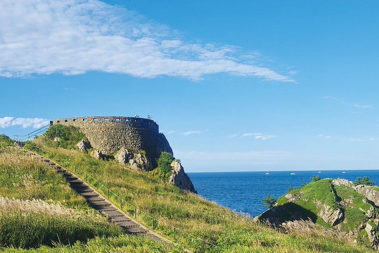 種差天然芝生地